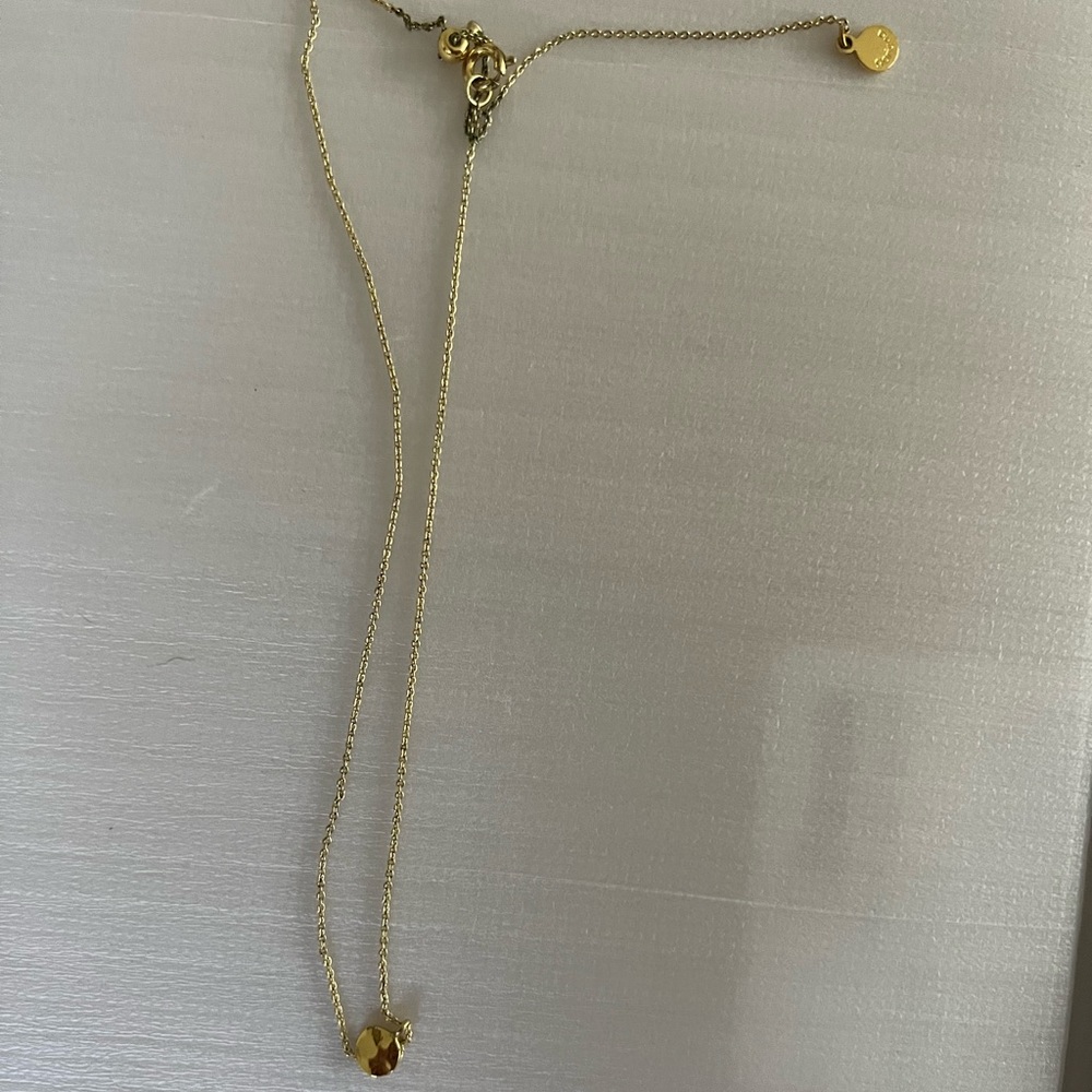 Gorjana necklace